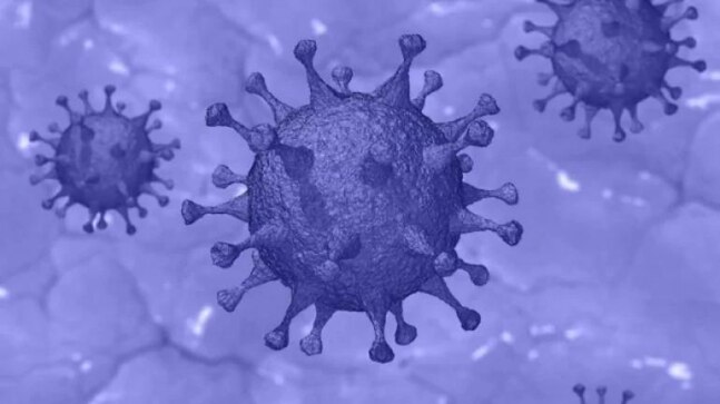 Scientists from the Medical University of Vienna in Austria said the T-killer cells identify viral fragments of protein on infected cells and eventually destroy them to prevent virus production. - Vimarsana News
