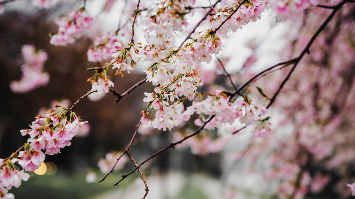 List Of Important Days In April 2021 National And International Information News list of important days in april 2021