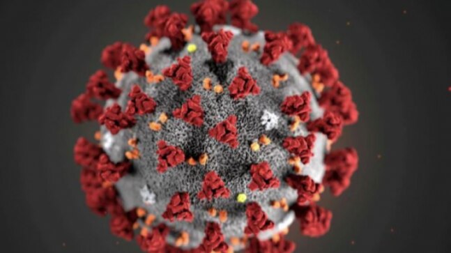 Tourists in Mexico party like there's no Covid