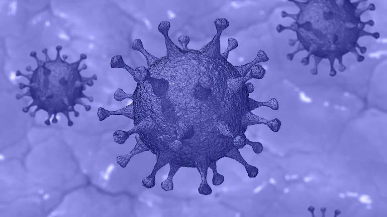 Karnataka reports first case with South African variant of Covid-19 virus