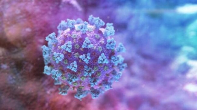 New coronavirus variant found in French region of Brittany: French government
