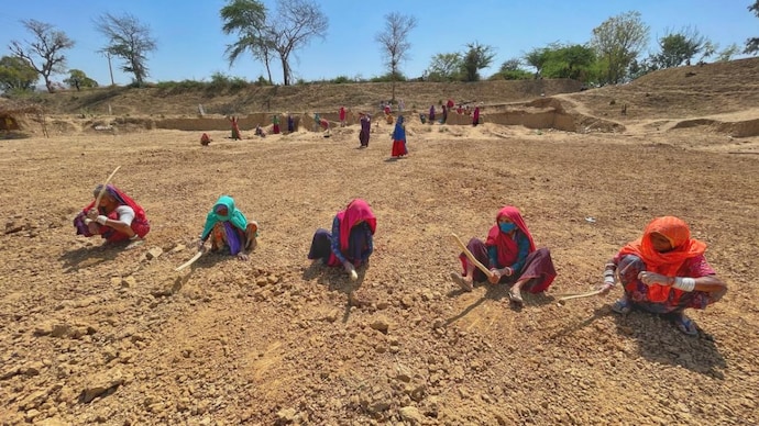 Picture of the day: Woman power—MGNREGA workers digging earth for a pond in Rajasthan