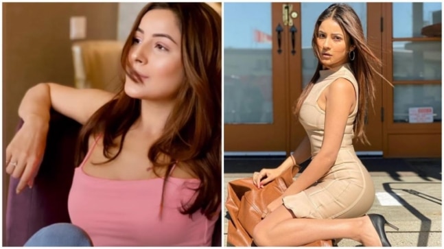 Shehnaaz Gill in pink spaghetti-strap crop top and denim is lost in thoughts