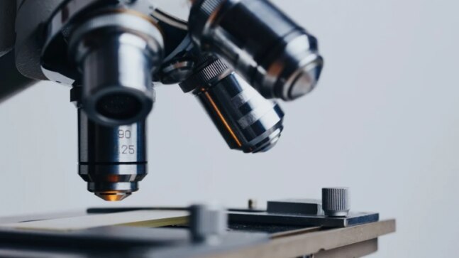 Career perspective in Biotechnology courses for students seeking admission in 2021 - India Today