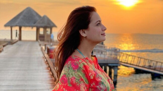 Dia Mirza pregnant, expecting first child with Vaibhav Rekhi. See pic