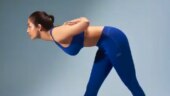 Malaika doing the Parsvottanasana. Malaika doing the Parsvottanasana.