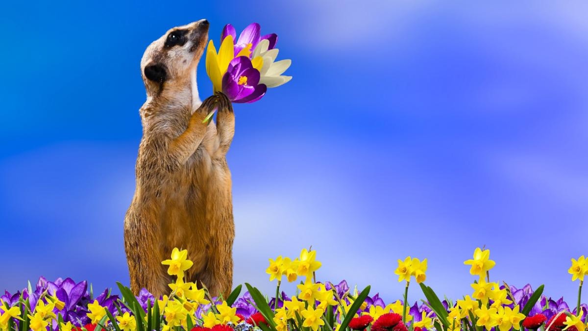 Get Well Soon Quotes Wishes Messages Sms To Send Your Loved Ones Information News Get Well Soon Quotes Wishes Messages Sms To Send Your Loved Ones Information News