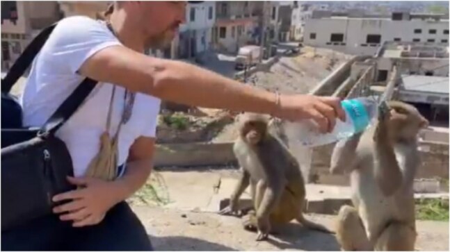 Man helps monkeys drink water from bottle in viral video. Internet hearts it