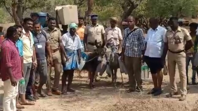 Tamil Nadu election: Donkeys carry EVMs to polling stations in Erode and Dharmapuri - Vimarsana News