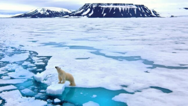 Alarm bells ringing in Arctic as Atlantic heat causes sea ice to retreat; shipping, fisheries to be hit - Vimarsana News