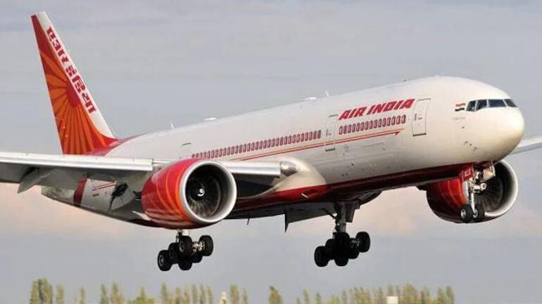Air India Delhi Newark Flight Returns Midway After Bat Found In Business Class India News