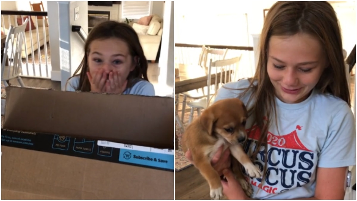 Little girl gets a puppy as surprise birthday gift. Her reaction