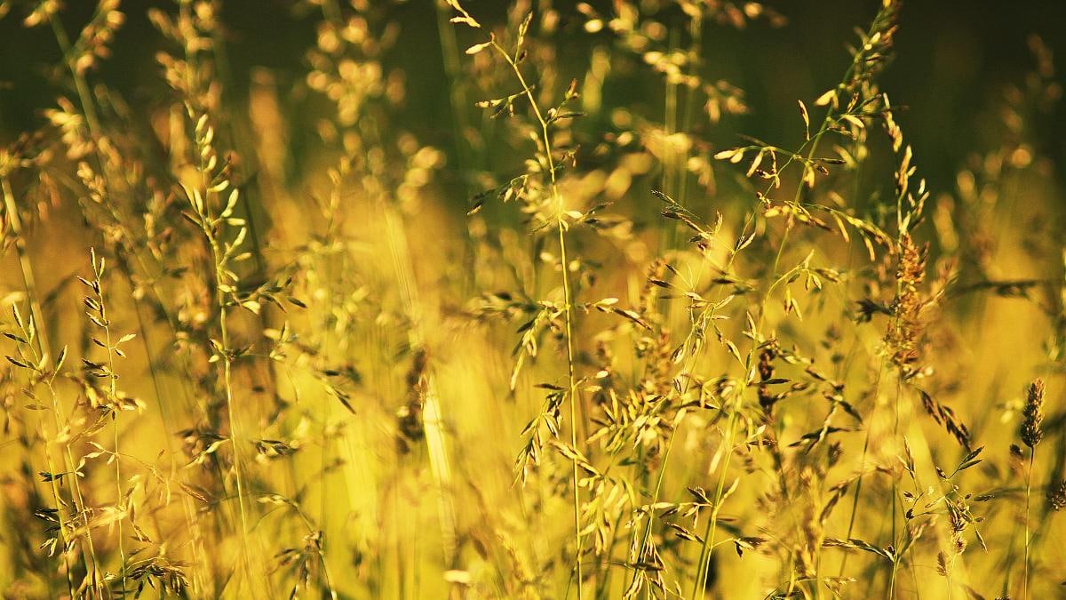 List Of Important Days In June 21 National And International Information News List Of Important Days In June 21 National And International Information News