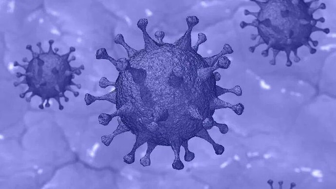 China allegedly investigated weaponising of coronaviruses in 2015, according to global media reports. (Photo: File image for representation) China investigated weaponising coronaviruses in 2015: Reports