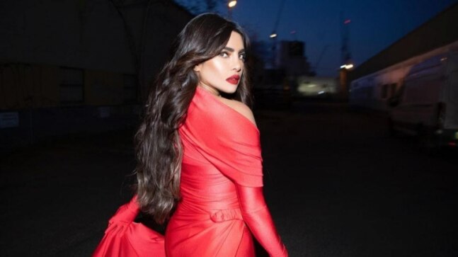 Priyanka Chopra shows the appropriate way to celebrate National Selfie Day. See pic