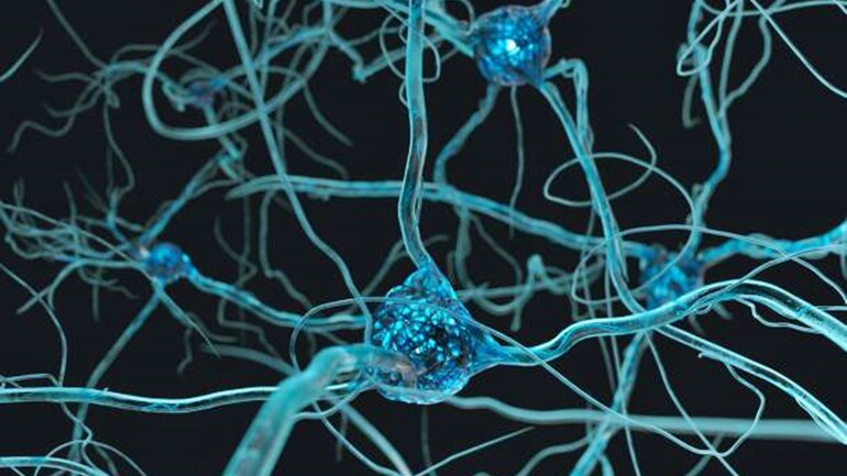 What Is Guillain Barre Syndrome Science News What Is Guillain Barre Syndrome Science News
