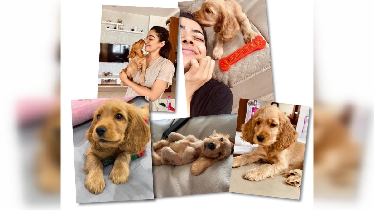 Rashmika Mandanna is now a pet parent, shares cute pics of pup ...