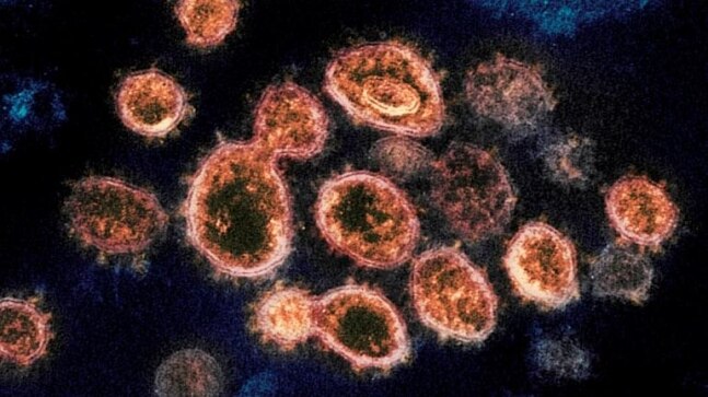 Delta variant 60% more transmissible, reduces vaccine effect, UK experts say - Vimarsana News