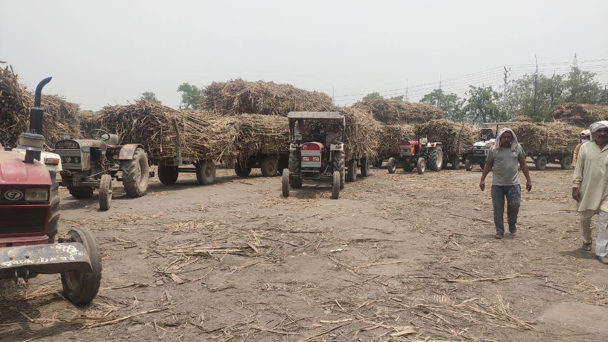 Ahead Of 2022 Up Election Farm Laws And Delayed Payments Reduce Bjp S Popularity Among Sugarcane Farmers India News Red Farm Review 2022