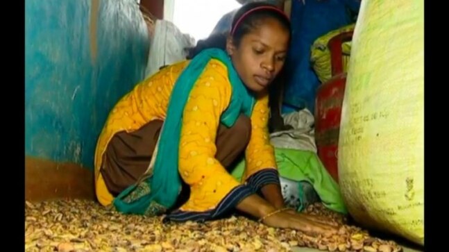 Odisha student sells mahua to buy smartphone for online classes