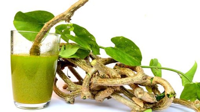 Liver injury seen in patients using excessive herbal immune boosters like giloy in Covid time