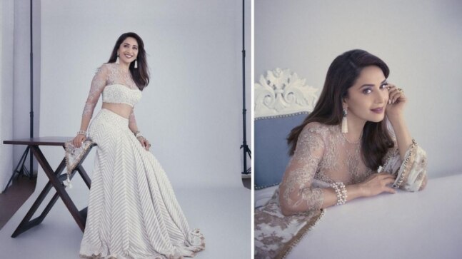 Madhuri Dixit looks regal in exquisite Rs 5 lakh chiffon chikankari lehenga. Gorgeous pics