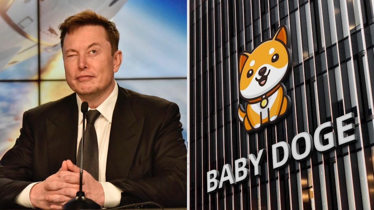 What Is Baby Doge Meet Elon Musk S New Favourite Cryptocurrency Technology News What Is Baby Doge Meet Elon Musk S New Favourite Cryptocurrency Technology News