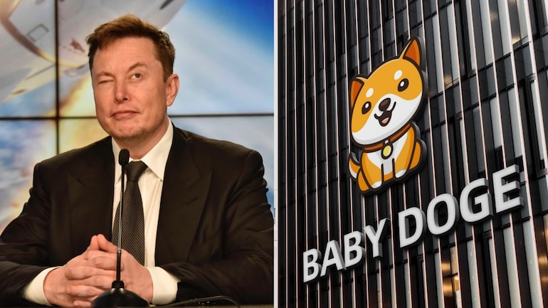 Baby dogecoin price