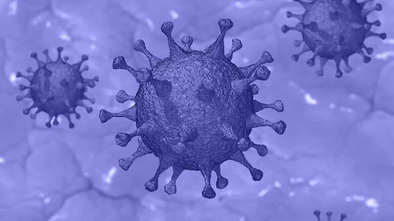 The Delta variant of Covid-19 will soon become the most dominant strain of the virus around the world, said Dr. Poonam Khetrapal Singh from WHO. (Photo: file) The Delta variant of Covid-19 will soon become the most dominant strain of the virus around the world, said Dr. Poonam Khetrapal Singh from WHO. (Photo: file)