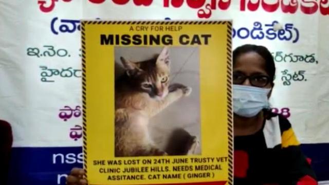 Cat missing after surgery Hyderabad hospital, owner offers Rs 30,000 for tracing it - India News