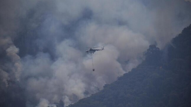 Wildfire reaches coal-fueled power plant in Turkey, prompts evacuations