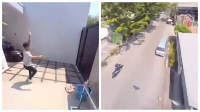 Parrot flies away with a phone. What happened next is a viral video now