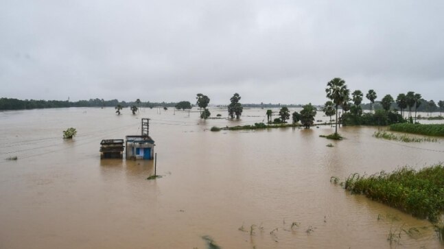 Heavy rain drowns parts of country | See Pics