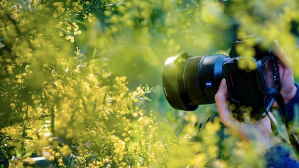 World Photography Day 2021 A Look At Five Award Winning Photos World News