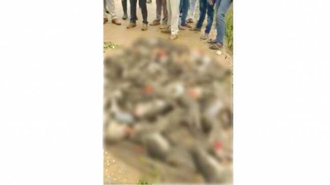 Monkey deaths in Karnataka: Couple hired to capture, shift monkeys who died of suffocation in gunny bags