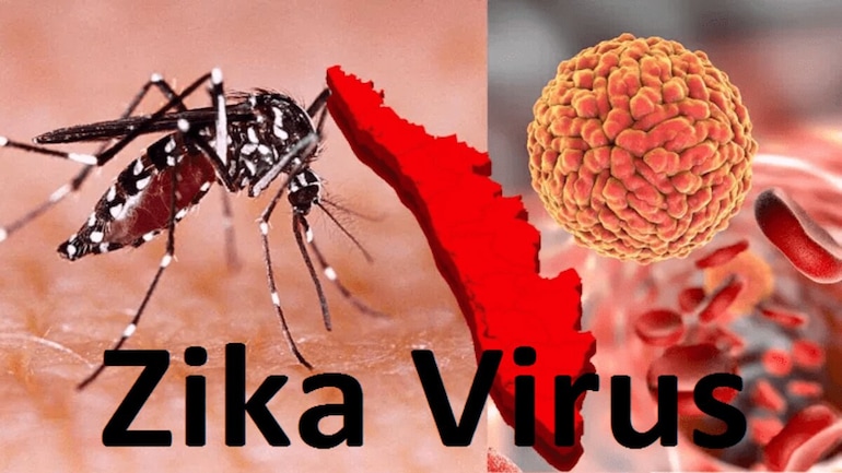 Zika Virus: What are the health problems caused due to Zika and how to diagnose it? - Information News