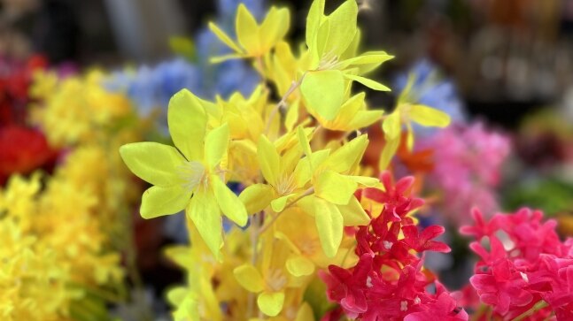 Alternate road on Dehradun-Rishikesh highway swept away amid heavy rain | Video