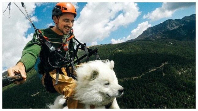 Viral video of cute dog paragliding with hooman is winning hearts on the Internet. Watch