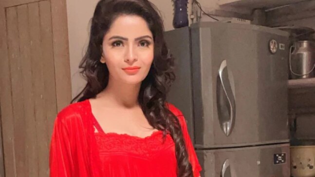 Bombay High Court rejects Gehana Vasisth’s pre-arrest bail plea