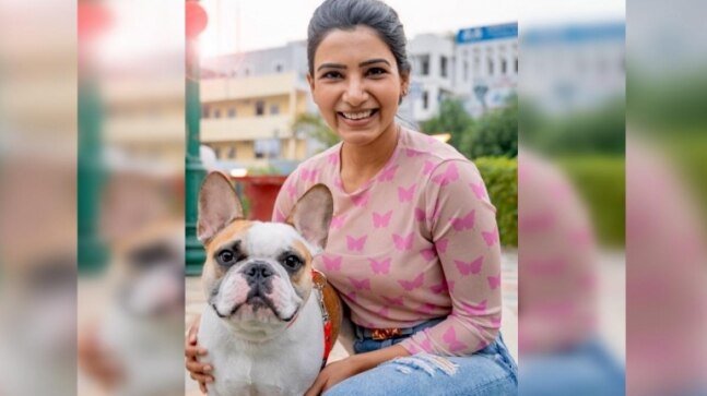 Samantha says her pet dog Hash understands English, shares proof