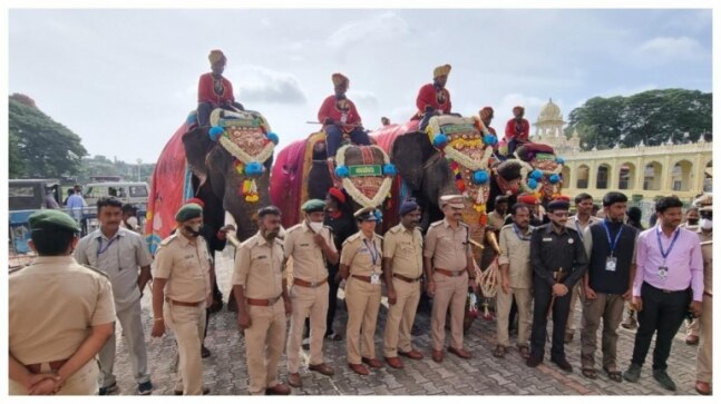 Elephants participating in Mysuru Dasara festivities get a grand welcome. See pics