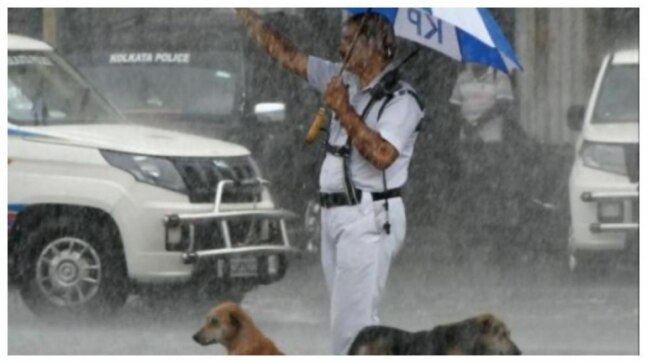 Kolkata cop gives shelter to stray dogs under his umbrella during heavy rain. Viral pic