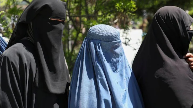 Taliban to 'temporarily' adopt monarchy constitution granting women voting rights with riders