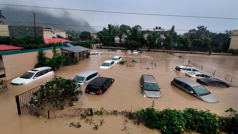 non-political news flooding animals unbiased news