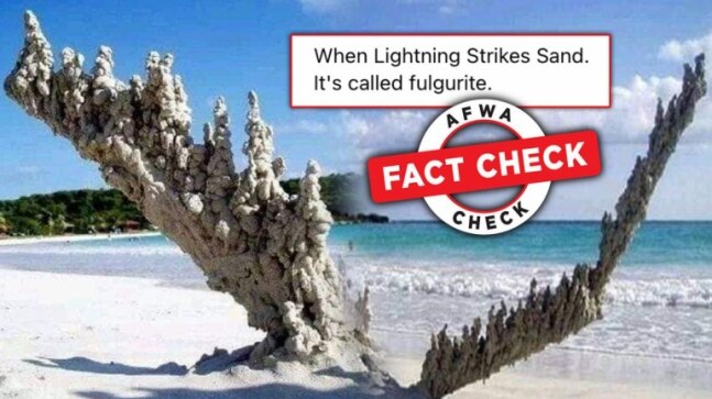 Fact Check: Artwork circulates as fulgurite found on seashore