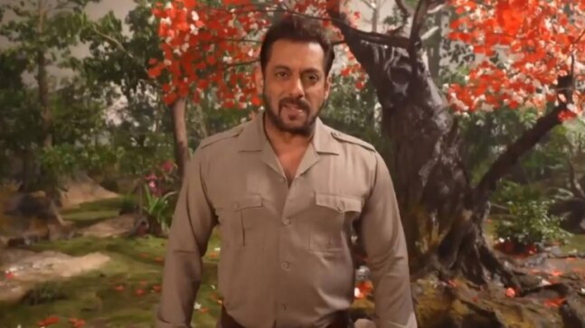 Bigg Boss 15 grand premiere Written Update: Salman Khan introduces the contestants in style