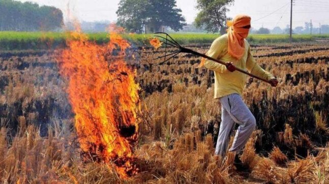 Crop stubble burning cases dip in Punjab, Haryana and UP: Centre’s pollution watchdog