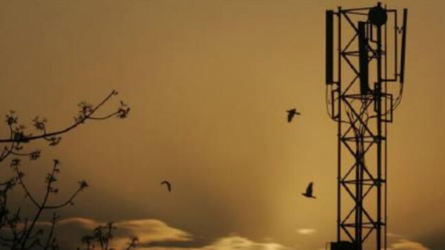 Govt permits 100% FDI in telecom sector - Vimarsana News