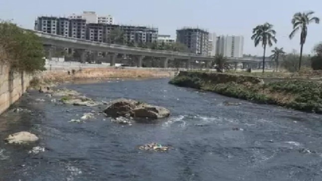 Four men rescue cow from drowning in stormwater drain in Bengaluru