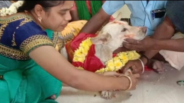 Tamil Nadu family throws baby shower for their pet dog. Viral pic